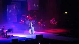 Emma Live Roma Palalottomatica 29/11/13 Se rinasci