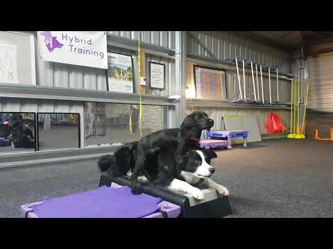 Flori + Evo: Up high, down low tandem trick