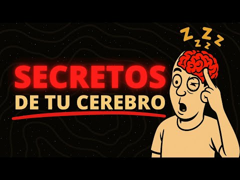 3 Horas de Secretos de tu Cerebro que No Sabías para Dormirte