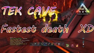【ARK】TEK洞窟最速で消える馬鹿ｗ【TEK CAVE】