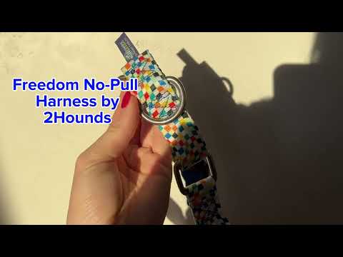 Freedom No-Pull Harness by 2 Hounds Design