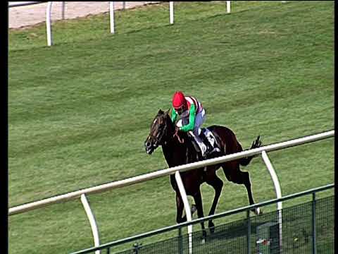 Galoppo 07/06/2019 - 2ª corsa