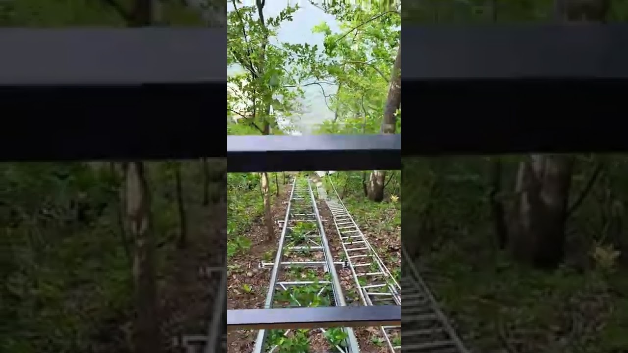 Lake Tram just about done