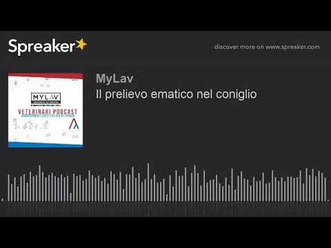 Il prelievo ematico nel coniglio