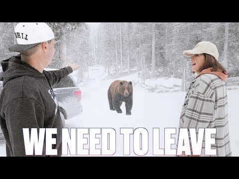 SNOWED IN | ESCAPING THE WINTER STORM JUST IN TIME