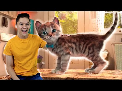 Little Kitten Adventures and Me - I'm in the Fun Pet Care Game