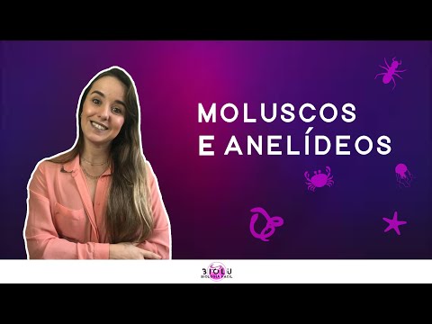 MOLLUSCS AND ANNELIDS - ZOOLOGY I Prof. Louise Medeiros