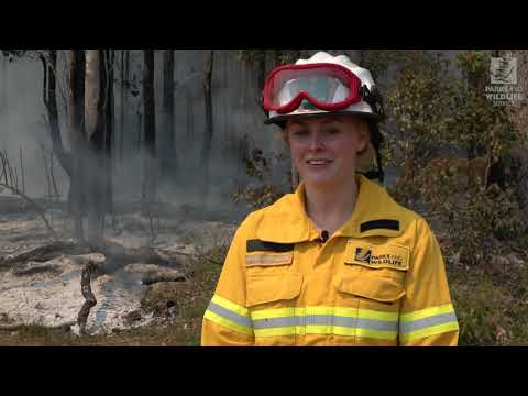 Women in Fire Management Action Plan