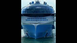 This is what the world's largest cruise ship looks like from the front Icon of the Seas.