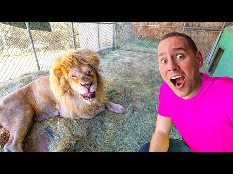 UŠAO SAM U ZABRANJENI ZOO VRT!