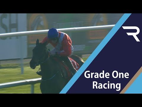 Ballyadam looks so smart in the BARONERACING.COM Royal Bond Novice Hurdle (Grade 1) - Racing TV