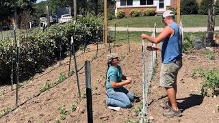 You Can’t Make It, If You Don’t Plant It || Sweet Potatoes, Peppers & Popcorn || September 2025