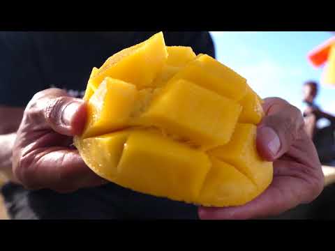 Street Food Tour of Lamu, Kenya   FOOD MELTING POT and Sailboat BBQ   Kenyan Swahili Food! 5