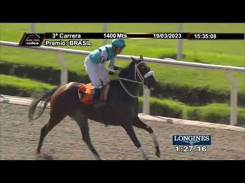 230319 c03 BLACK ICE