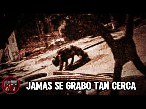 ¿EL VIDEO MAS REAL Y ATERRADOR DE UN HOMBRE LOBO? - Lobizon aparecio en las calles 2025