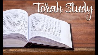 Short Dvar Torah Balak 5781 With Rabbi Chaim Steinmetz
