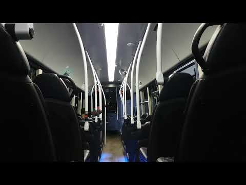 Route 8 | NK66EWM/5461 - Go North East: Wright StreetLite DF