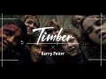 MAD HarryPotter TimberｰPitbullｰ