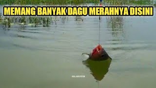 Download lagu THIS FISHING SPOT IS VERY SPECIAL!! COMPLETE WITH ROUTES mp3 Download lagu THIS FISHING SPOT IS VERY SPECIAL!! COMPLETE WITH ROUTES mp3