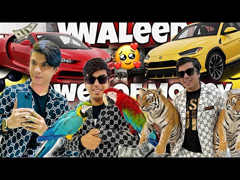 Power Of Youtubers 😎🔥Sw pet house@PetHouse786 