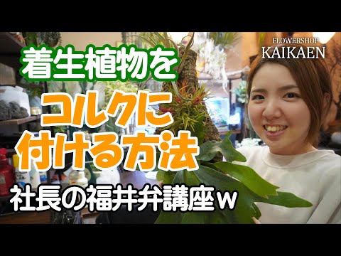 屋内または園芸植物にコルクをリサイクルして使用する理由