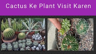 Pakistan Lahore Ma cactus Ke Plant Visit Karen-Shahadatali996
