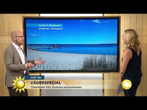 Sensommarvärmen på ingång - Nyhetsmorgon (TV4)