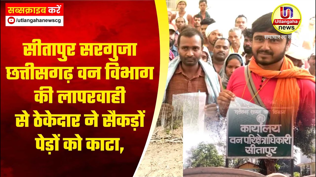 सीतापुर सरगुजा छत्तीसगढ़ वन विभाग की लापरवाही से ठेकेदार ने सैकड़ों पेड़ों को काटा,