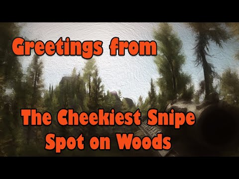 The Cheekiest Sniping Spot on Woods