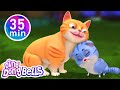 Meow Meow Billi Karti 12 More Hindi Rhymes Nursery Rhymes Hindi Ding Dong Bells