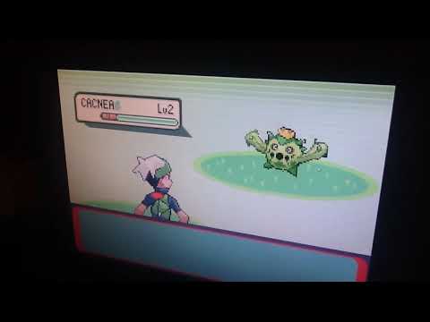 Pegasus fantasy Pokemon battle