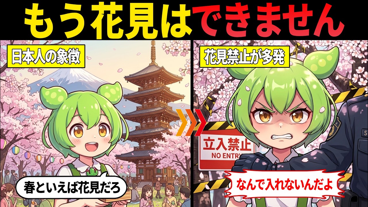日本から桜の木が消滅しかけている理由とは？【ずんだもん・ゆっくり解説】
