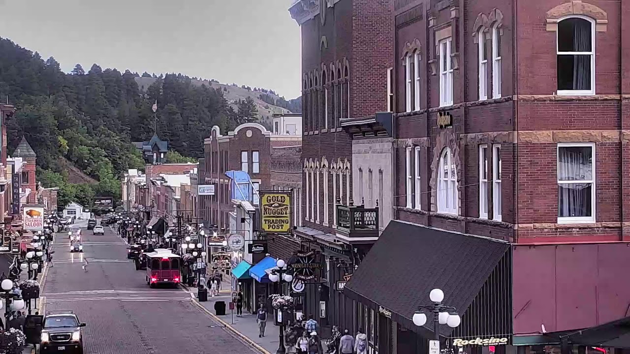 Deadwood Cam