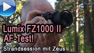 Panasonic Lumix FZ1000 II - AF-Test