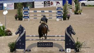 Video von Clio 36