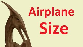 Big Pterodactyls in Canada