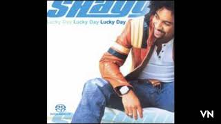 Shaggy-Shake Shake Shake