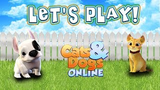 Let&#39;s Play Cats &amp; Dogs Online! [FOXIE GAMES]