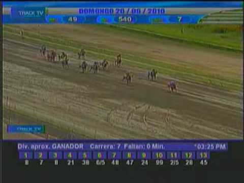 Resumen domingo 20 de Junio 2010 - La Rinconada