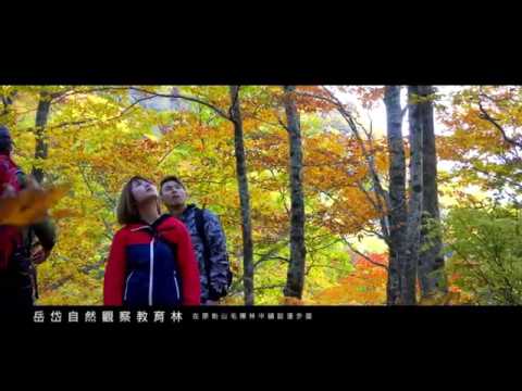 白神山地＜色彩斑斕的秋天之旅＞