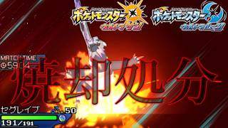せ、セグレイブさん……；；【ポケモンUSUM:Expansion】