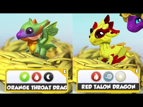 Hatching the ORANGE THROAT + RED TALON Dragons! Opening 110+ MORE Divine Chests! - DML #1413