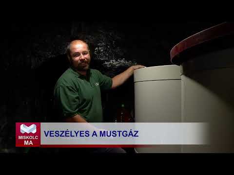 Videó előnézet