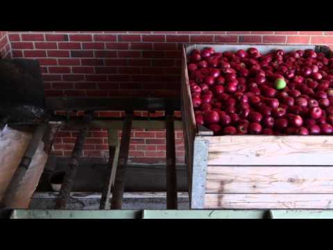 A Day In The Life Of An Orchard Worker