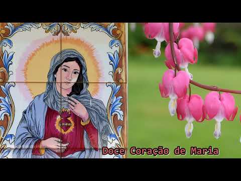 Doce Coração De Maria - Missionários Claretianos