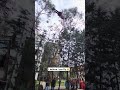 I Believe I Can Fly
