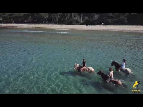Cala Violina a cavallo in spiaggia al galoppo in Maremma in Toscana