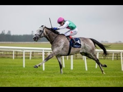 2025 Tattersalls Irish 2000 Guineas 1600M Curragh IRE : Field Of Gold (1:36:58)
