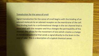 Transduction for the sense of smell