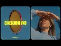 Introducing CineBloom VND Filters